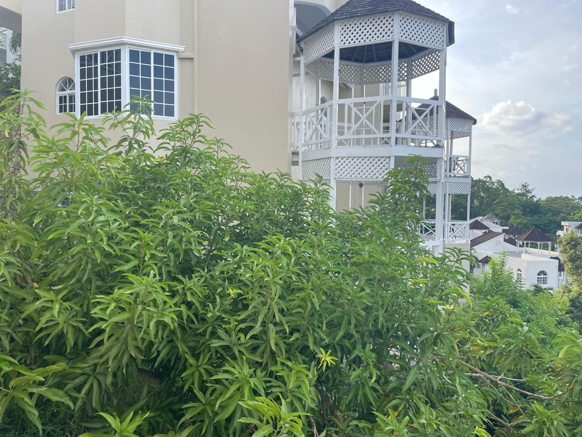 Oceanbreeze Jamaica Penthouse, 7-Minute Walk To Beach 奥乔里奥斯 外观 照片