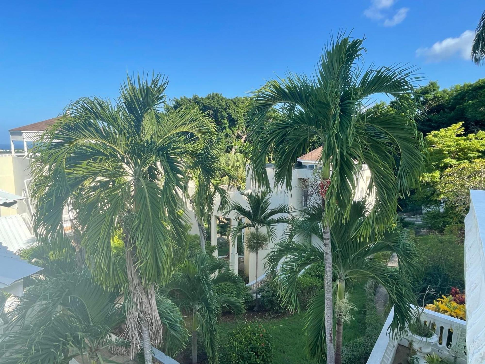 Oceanbreeze Jamaica Penthouse, 7-Minute Walk To Beach 奥乔里奥斯 外观 照片